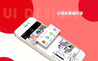 有錢還最新系統