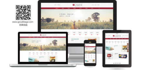 大腕互聯全平臺營銷系統響站html5自適應網站建設企業網站購物商城三級城蘋果app安卓app小程序建設