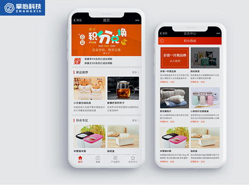 2021年如何開發定制商城系統