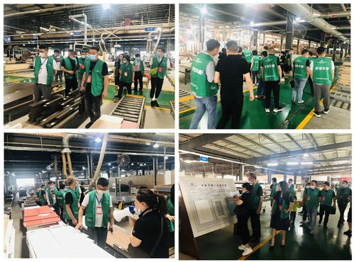 年中盛典，智造未來(lái) 619超級(jí)工廠購(gòu)暨財(cái)富品鑒會(huì)圓滿落幕，揭秘購(gòu)物商城定制新篇章