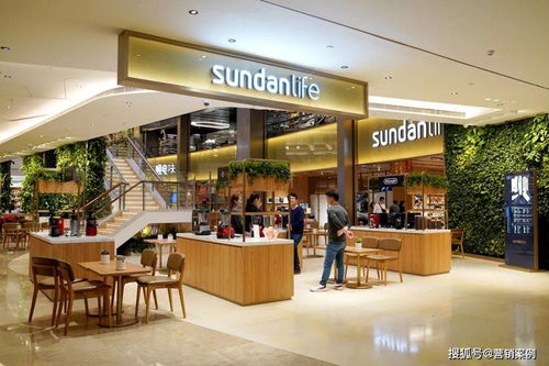 免費(fèi)門店，年入400萬(wàn) 購(gòu)物商城定制開發(fā)的創(chuàng)新商業(yè)模式啟示